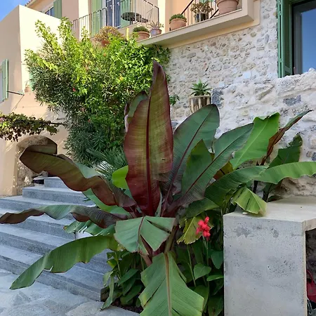 Unique Dans Le Vieux-nice! Avec Jardin Et Terrasse