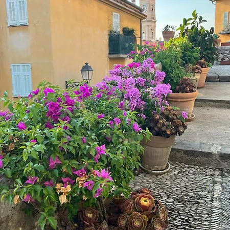 Unique Dans Le Vieux-nice! Avec Jardin Et Terrasse Apartman *