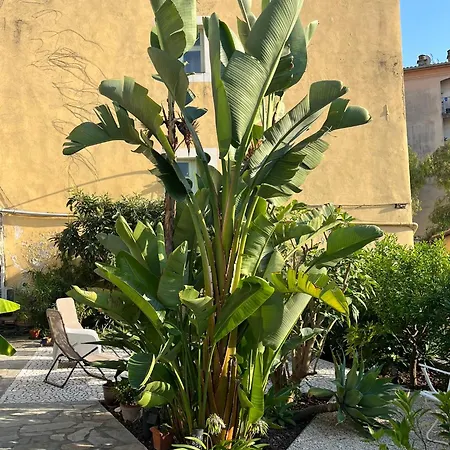Unique Dans Le Vieux-nice! Avec Jardin Et Terrasse Apartman Nizza