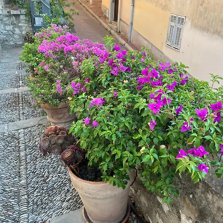 Unique Dans Le Vieux-nice! Avec Jardin Et Terrasse Nizza