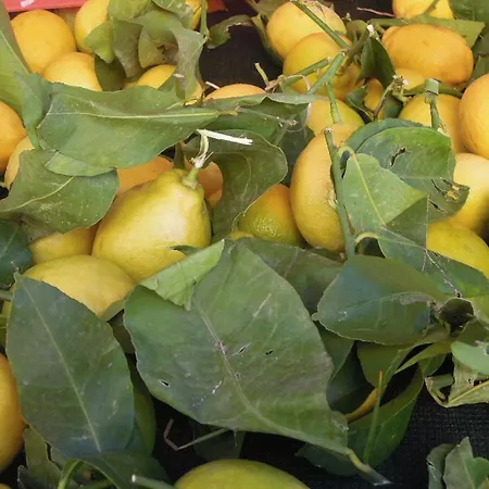 Apartman Unique Dans Le Vieux-nice! Avec Jardin Et Terrasse